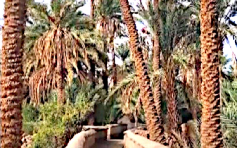 Madrid ou le crépuscule d’une imposture diplomatique algérienne