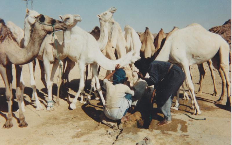 Enjeu de l’eau au grand Sahara