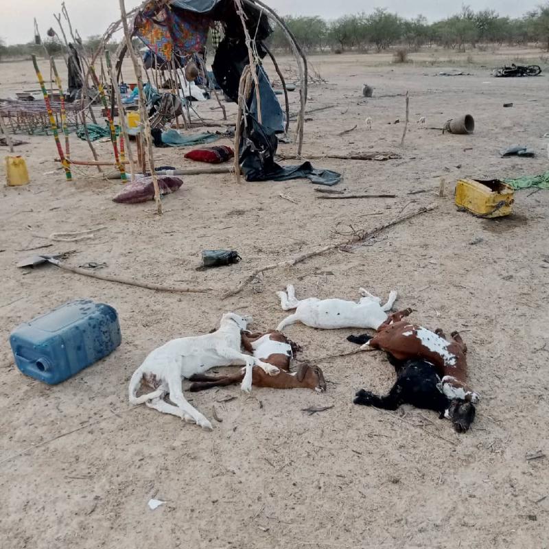 raid-aerien-famas-20