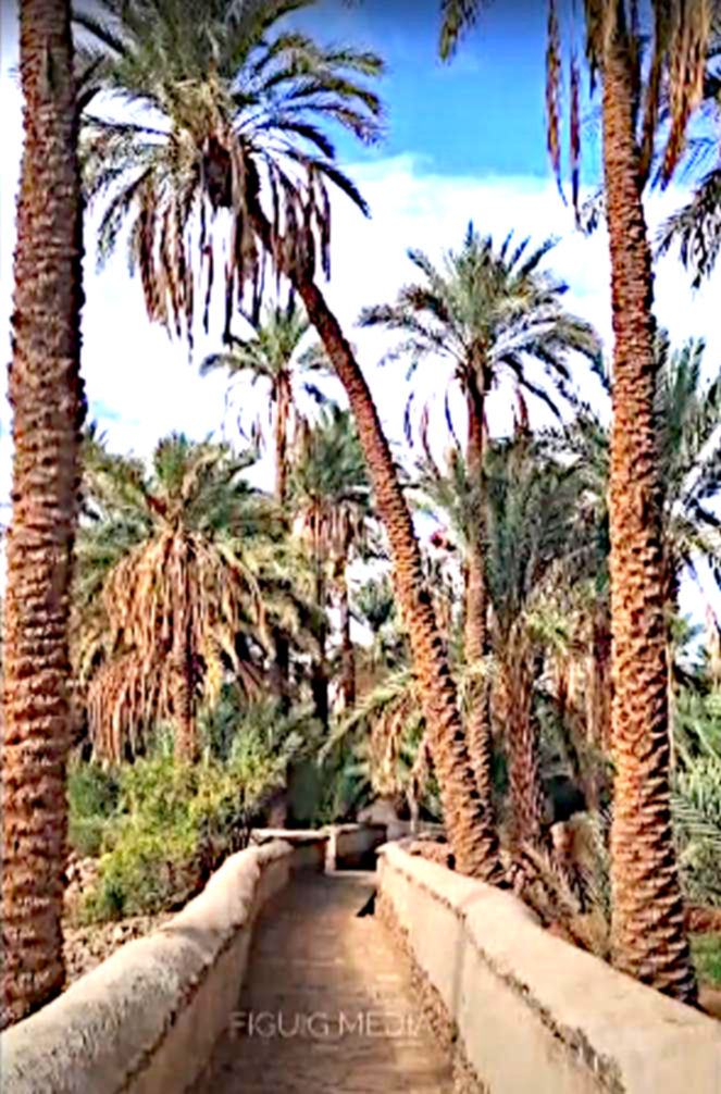 Madrid ou le crépuscule d’une imposture diplomatique algérienne